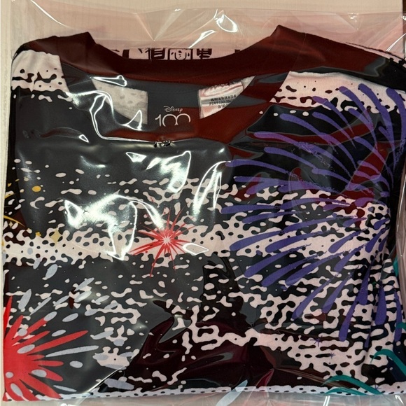 Sleeping Beauty Castle Fashion Pullover Top for Adults – Disney100 – Disneyland - Picture 12 of 12